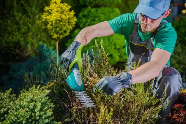 landscaping services Curtis